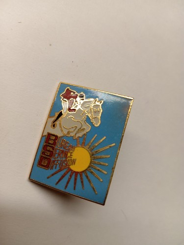 Pin ancien vintage bsd - pa,