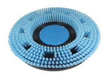 Shampoonierbürste Convient À