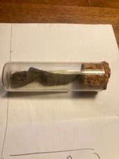 fossile a identifier Carbonifère Belgique collection ancienne corail ?