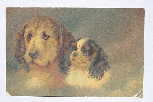 12931 artiste wenau pastel - ak,