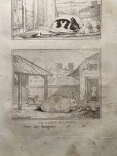 ANCIENNE ILLUSTRATION 1835