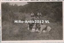 Photo, apprendre à lire les