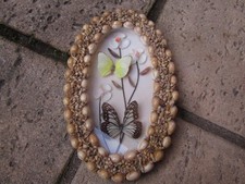 Cadre ancien papillons et