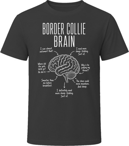 Border collie brain - brain, funny