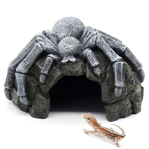Reptile rock cave - reptile,