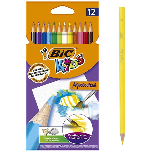 8575613 bic etui de - etui, 12