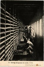 Old postcard AK drying vanilla pods MADAGASCAR (626246)