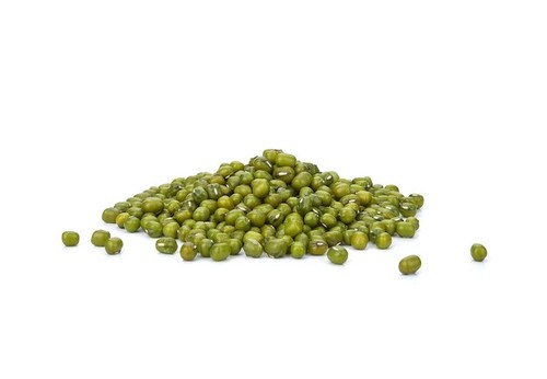 200 graines haricot mungo - 200,