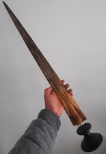 curiosité , taxidermie