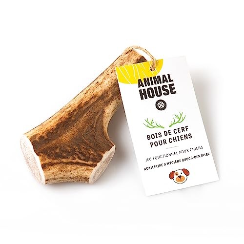 Animal house bois de cerf - animal,