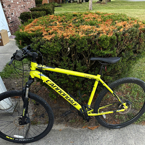 Cannondale catalyst - catalyst, 29"