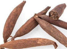 Lot of 5 Sweet Jujube, African Peace Jujube Ndim Spiritual Peace Fruit