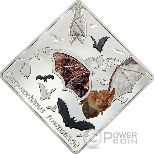 The bat animals glass - the,