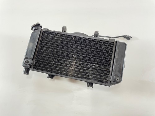 Yamaha tdm 900 - tdm, rn11
