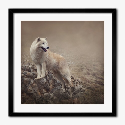Tulup photo 50x50cm décor - tulup, mdf