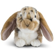 Peluche Lapin Bélier Beige 30