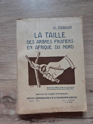 Taille des arbres fruitiers - des,