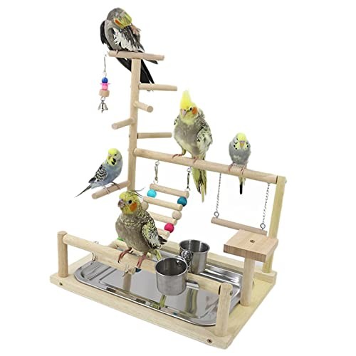 Aire jeux pour oiseaux - de,