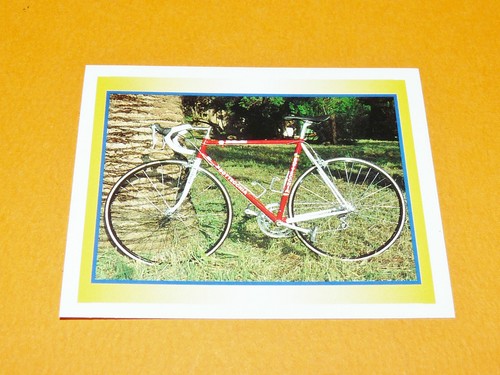 183 velo team - n°183, polti