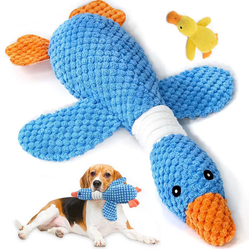 Jouet mâchouille chien - jouet,