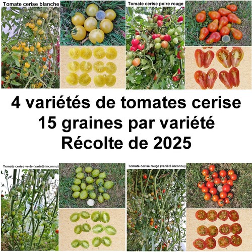 Graines 4 variétés de - -,