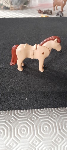 Animal poney centre equestre - poney,