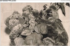 AVQP9-0540 - GAMES - toy - bear - plush