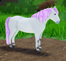 ICEY PINK Ulsblakk Rare Coat Fjord IUH Island Unique Hair Wild Horse Islands WHI