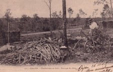 Old postcard Côte d’Or No. 171 Coal makers in the forest: Oak barking