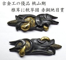 Ancien champignon shiitake