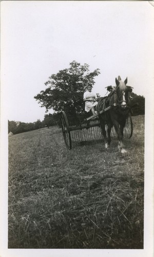 Photo ancienne vintage - ancienne,
