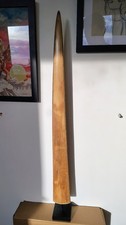 Rostre d’espadon de 72 cm