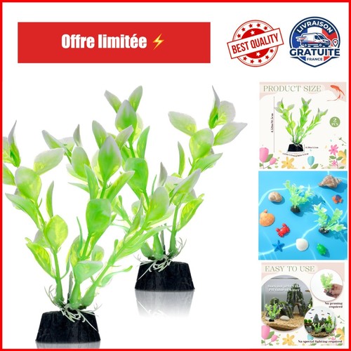 Lot plantes d - 2,