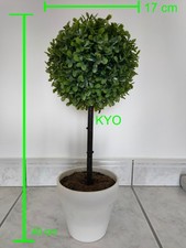 Arbre buis rond, Hauteur 40 cm