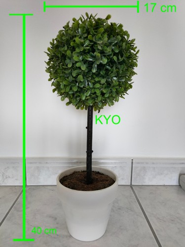 Arbre buis rond - hauteur, cm