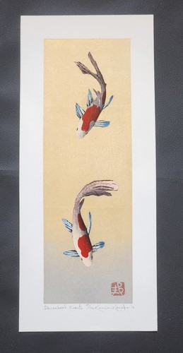 Kunio kaneko december comets - december,