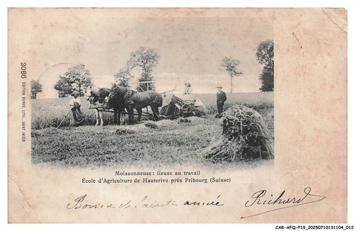 Car afqp19 1014 suisse - car-afqp19-1014-suisse,