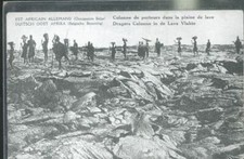 CONGO BELGE PORTEURS SUR LA