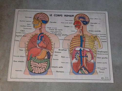 Affiche scolaire mdi - mdi, n°