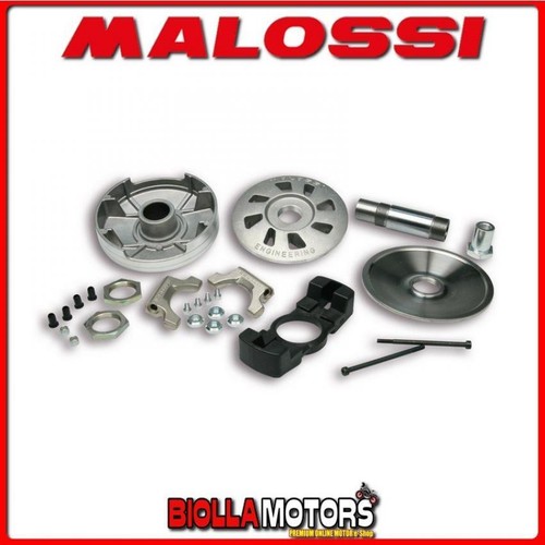 511886 variator malossi - variator,