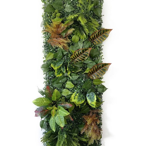 Mur végétal plantes - végétal,