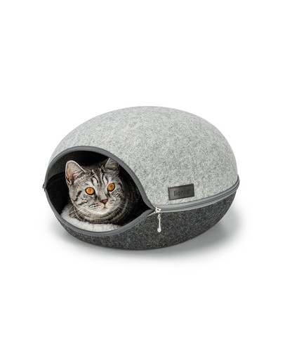 Lionto maison chat en - chat,