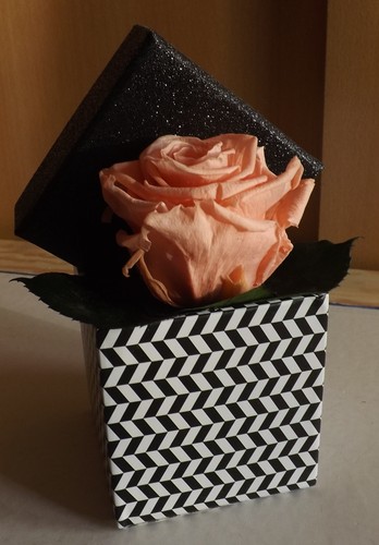 Jolie rose coffret - jolie,