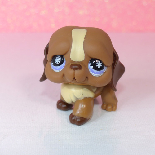 Authentic littlest lps petshop - authentic,