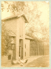 France, B.L.R. Vintage Albumen Print Chicken Coop.  Albumen print 12x18 