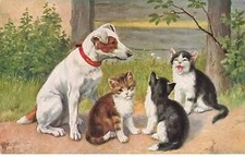 Animaux - Chats - Des chats assis près d'un chien