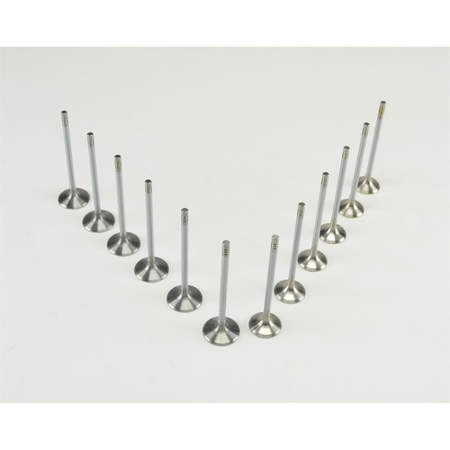 Valves inlet 6x - 12, +
