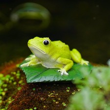Statue de grenouille de