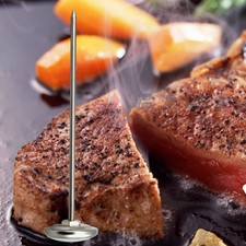  Thermomètre Thermometre De