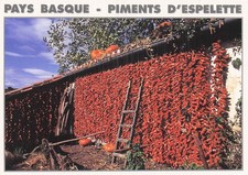 64 ESPELETTE PEPPERS D ESPELETTE